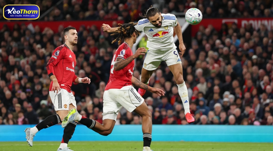 Leeds United vs Man Utd: Nhận định, phong độ mới nhất 5 Đồ họa so sánh số thẻ phạt và số lần phạm lỗi của Leeds United vs Man Utd trong 3 mùa giải gần đây.
