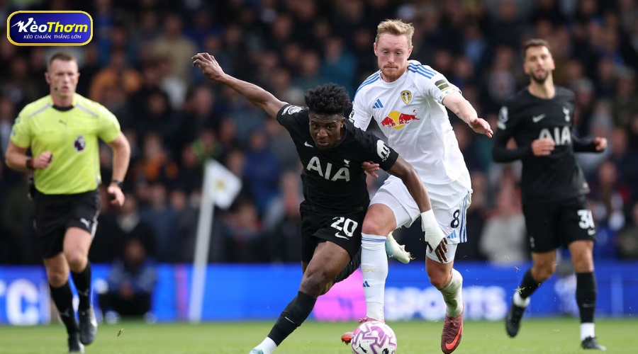 Leeds United vs Tottenham: Dữ liệu đối đầu và biến số trụ hạng 3 Lịch sử Leeds United vs Tottenham và dấu hiệu đảo chiều