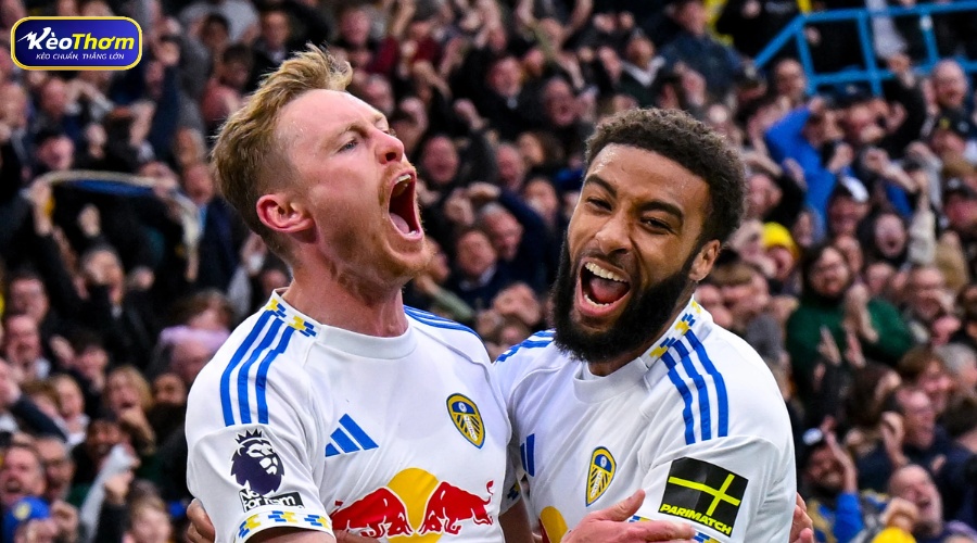 Leeds United vs Tottenham: Dữ liệu đối đầu và biến số trụ hạng 4 5 trận gần nhất Leeds United vs Tottenham giai đoạn 2023 - 2026