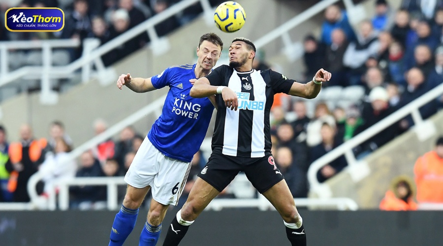 Leicester vs Newcastle: Cục diện đối đầu và những điểm nóng đáng chú ý 4 5 trận gần nhất Leicester vs Newcastle giai đoạn 2023 - 2026