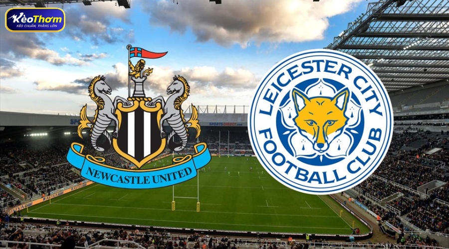 Leicester vs Newcastle: Cục diện đối đầu và những điểm nóng đáng chú ý 2 Tổng quan dữ liệu Leicester vs Newcastle từ KeoThom