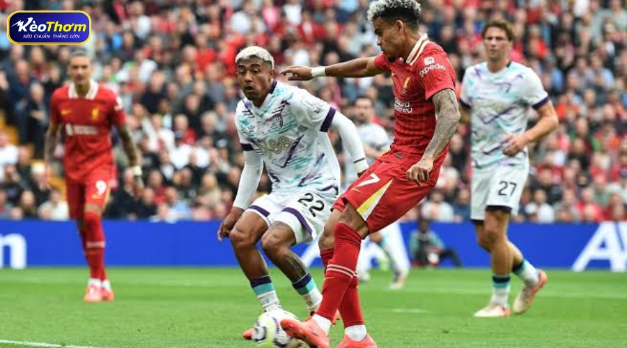 Tổng quan liverpool vs bournemouth qua các chỉ số chính