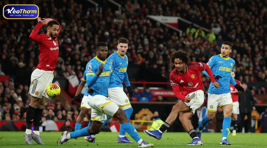 Thống kê Man Utd vs Wolves: Những con số đáng chú ý trước giờ bóng lăn 2 Đồ họa thống kê lịch sử đối đầu giữa Man Utd và Wolves với ưu thế nghiêng về Quỷ đỏ.