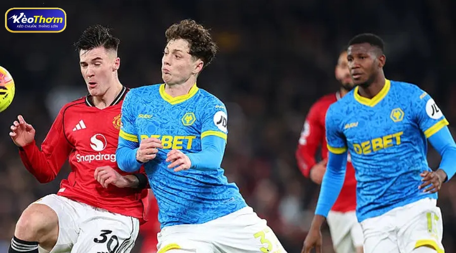 Thống kê Man Utd vs Wolves: Những con số đáng chú ý trước giờ bóng lăn 3 Bản đồ nhiệt cho thấy sự áp đảo của hàng tiền vệ Man Utd trong các cuộc chạm trán Wolves gần đây.