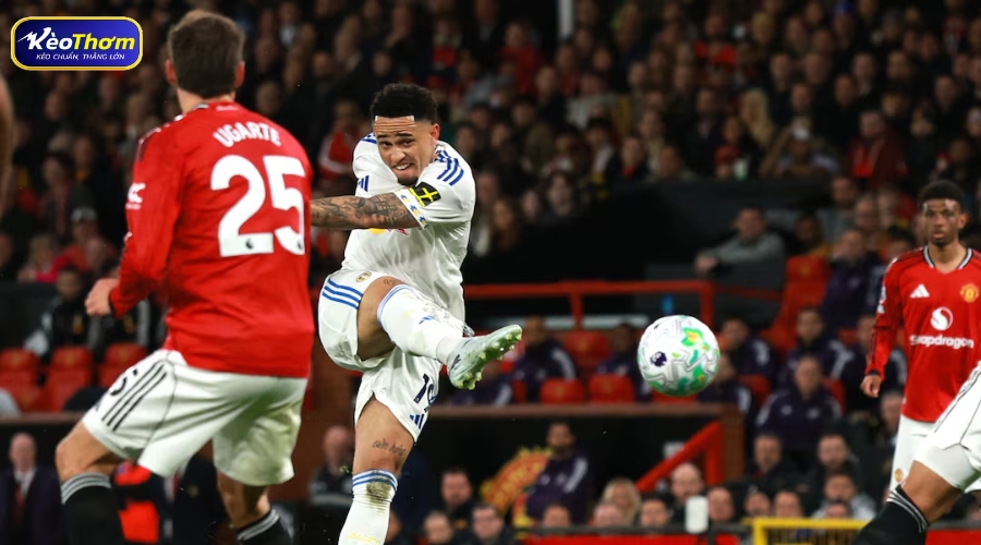 Tổng quan Man Utd vs Leeds Utd và cán cân quyền lực