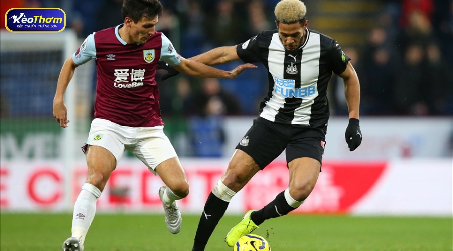 Newcastle vs Burnley: Chuỗi thắng áp đảo của Chích chòe 3 Lịch sử Newcastle vs Burnley và ưu thế của sắc đen trắng