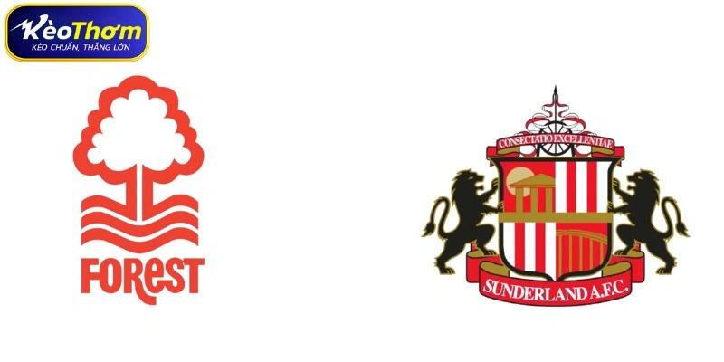 Nottingham Forest vs Sunderland | Màn So Tài Đầy Quyết Tâm 1 Nottingham Forest vs Sunderland