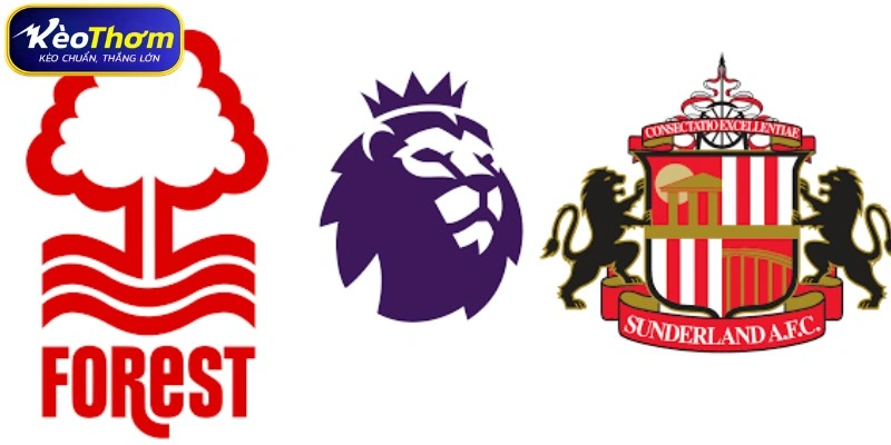 Nottingham Forest vs Sunderland | Màn So Tài Đầy Quyết Tâm 4 Thống kê thẻ phạt và nhịp độ tranh chấp Nottingham Forest vs Sunderland