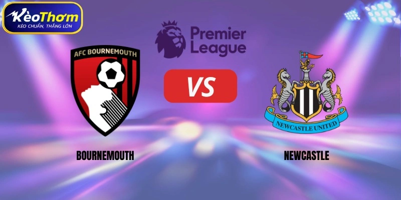Bournemouth vs Newcastle