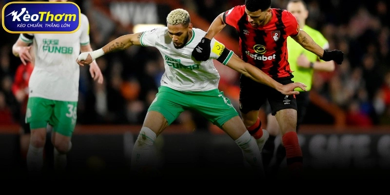 Biên niên sử đối đầu Bournemouth vs Newcastle tại Kèo Thơm