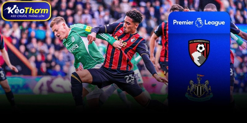 Xu hướng soi kèo Bournemouth vs Newcastle tại Kèo Thơm