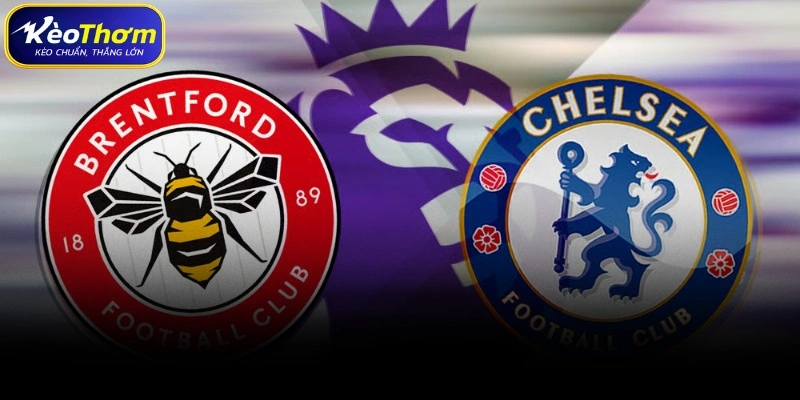 Brentford vs Chelsea | Derby London Đầy Sức Nóng 4 Dự báo xu hướng đặt cược Brentford vs Chelsea tương lai