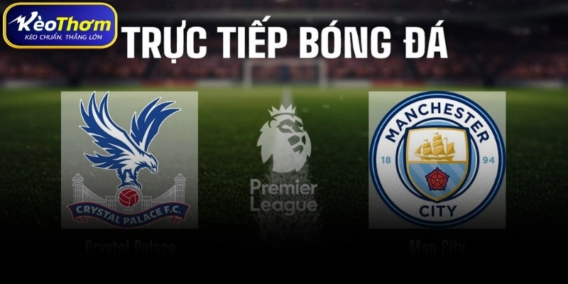 Crystal Palace vs Man City | Thử Thách Khó Khăn Cho Chủ Nhà 4 Dự báo xu hướng tương lai cặp Crystal Palace vs Man City