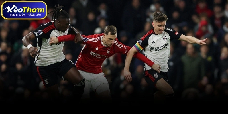 Lịch sử đối đầu Fulham vs Nottingham Forest đầy đủ