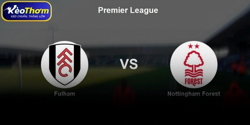 Tình hình lực lượng Fulham vs Nottingham Forest hiện tại