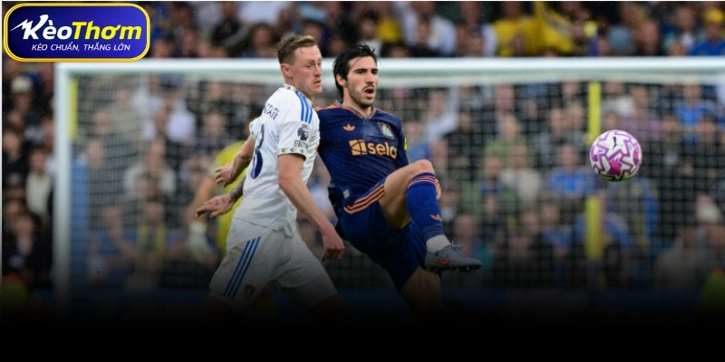 Leeds United vs Newcastle | Cuộc Chạm Trán Đáng Chờ Tại EPL 3 Phân tích chuyên sâu cuộc chạm trán Leeds United FC vs Newcastle