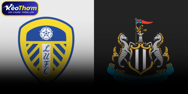 Leeds United vs Newcastle | Cuộc Chạm Trán Đáng Chờ Tại EPL 4 Nhận định xu hướng soi kèo cặp Leeds United vs Newcastle
