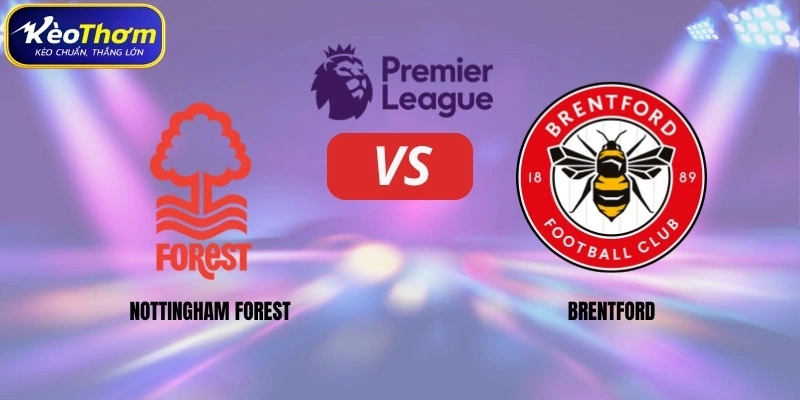 Nottingham Forest vs Brentford | Cuộc So Tài Cân Tài Cân Sức 1 Nottingham Forest vs Brentford