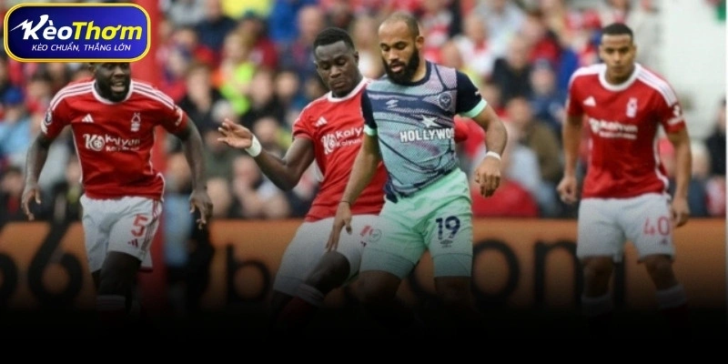 Nottingham Forest vs Brentford | Cuộc So Tài Cân Tài Cân Sức 2 Biên niên sử đối đầu giữa Nottingham Forest và Brentford