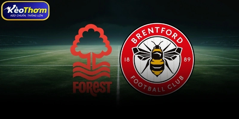 Nottingham Forest vs Brentford | Cuộc So Tài Cân Tài Cân Sức 4 Thống kê thẻ phạt và tính chất cặp đấu Nottingham Forest vs Brentford