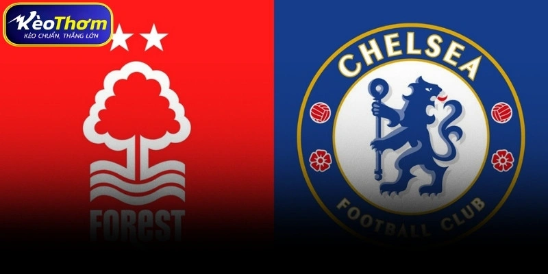 Thống kê thẻ phạt và tính chất trận Nottingham Forest gặp Chelsea
