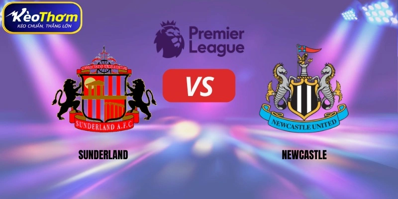 Sunderland vs Newcastle | Derby Đông Bắc Nước Anh Rực Lửa 1 Sunderland vs Newcastle