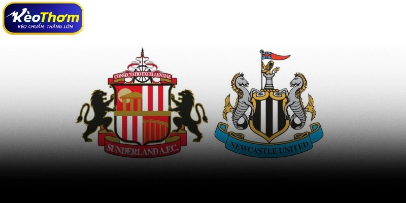 Sunderland vs Newcastle | Derby Đông Bắc Nước Anh Rực Lửa 4 Kinh nghiệm soi kèo và xu hướng trận Sunderland vs Newcastle