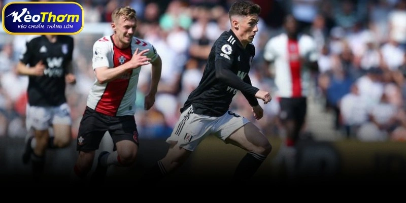 Southampton vs Fulham | Màn Đọ Sức Cân Bằng Đáng Chờ Đợi 2 Tổng quan số liệu thống kê Southampton vs Fulham