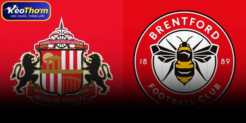 Sunderland vs Brentford