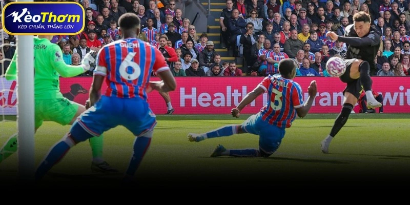 Tổng quan số liệu thống kê Sunderland vs Crystal Palace