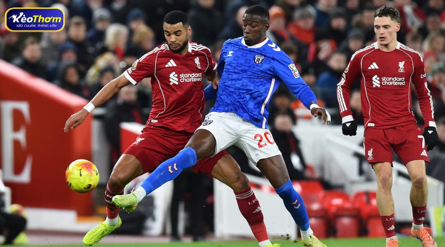 Sunderland vs Liverpool: Cán cân đối đầu và thử thách tại Premier League 3 Lịch sử Sunderland vs Liverpool và ưu thế của vùng Merseyside