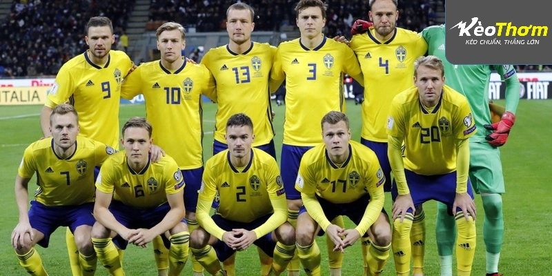 Các cầu thủ Tunisia tập luyện chuẩn bị cho trận mở màn gặp Thụy Điển tại bảng F