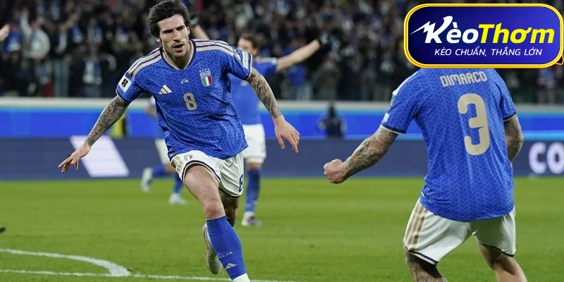 "Lão tướng" Edin Dzeko vẫn là niềm hy vọng số 1 trên hàng công của Bosnia.