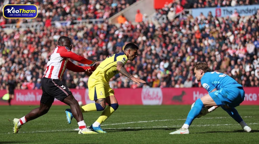 Tottenham vs Sunderland | Lịch Sử Đối Đầu Chi Tiết 2 Tổng quan Tottenham vs Sunderland qua các chỉ số chính