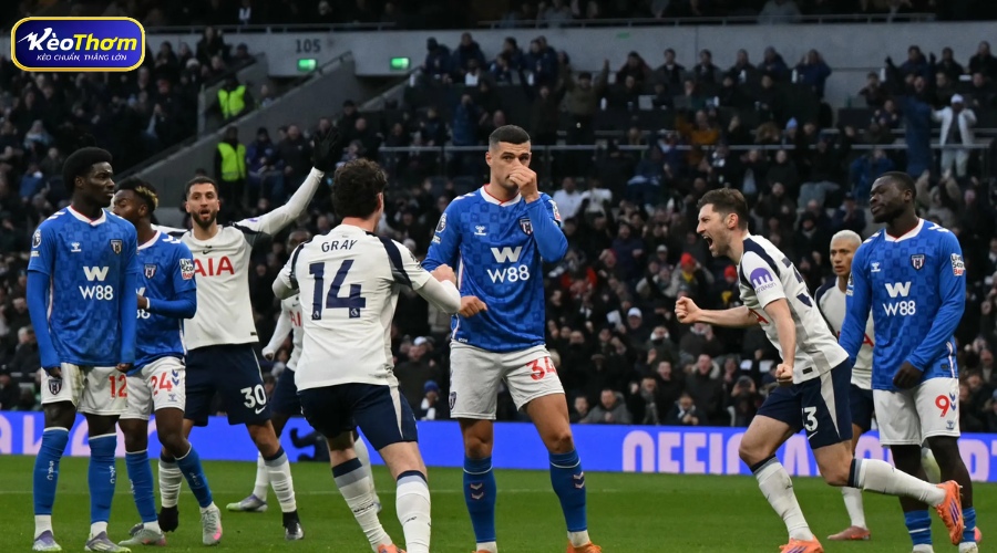 Tottenham vs Sunderland | Lịch Sử Đối Đầu Chi Tiết 3 Lịch sử Tottenham vs Sunderland và sự khác biệt về vị thế