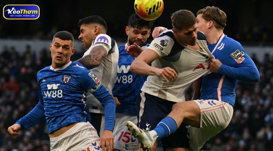 Tottenham vs Sunderland | Lịch Sử Đối Đầu Chi Tiết 5 Nhận định kèo Tottenham vs Sunderland từ KeoThom