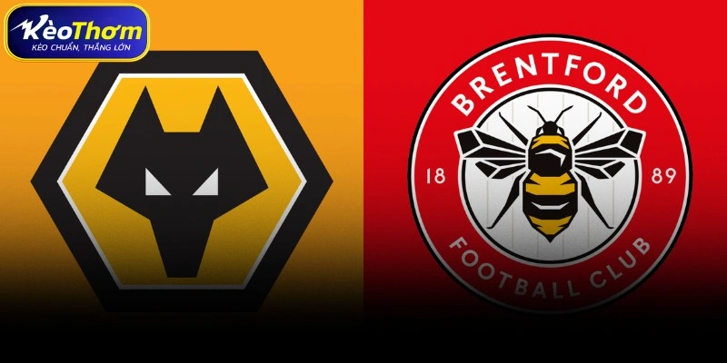 Wolves vs Brentford