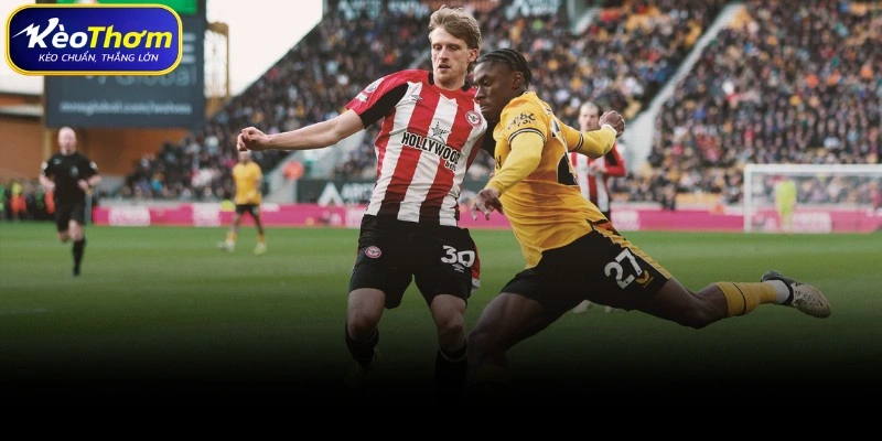 Toàn cảnh các trận đấu gần nhất Wolves vsBrentford