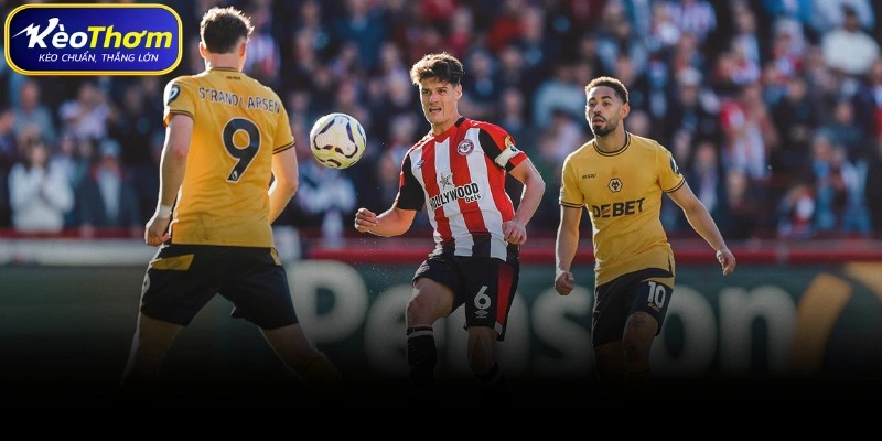 Phân tích chuyên sâu chiến thuật Wolves vs Brentford