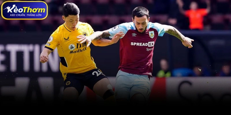 Wolves vs Burnley | Màn Chạm Trán Trong Cuộc Đua Trụ Hạng 2 Biên niên sử đối đầu: Sự gai góc của "Bầy sói" và "Rượu vang đỏ"