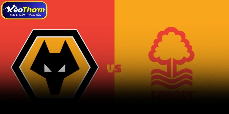 Wolves vs Nottingham Forest | Cuộc Chạm Trán Cân Tài Cân Sức 1 Wolves vs Nottingham Forest