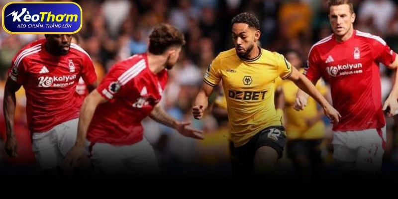 Wolves vs Nottingham Forest | Cuộc Chạm Trán Cân Tài Cân Sức 2 Tổng quan số liệu thống kê Wolves gặp Nottingham Forest