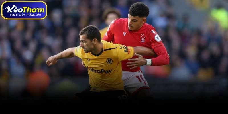 Wolves vs Nottingham Forest | Cuộc Chạm Trán Cân Tài Cân Sức 3 Biên niên sử đối đầu: Chuỗi bất bại của "Tricky Trees" và nỗi đau của "Bầy sói"